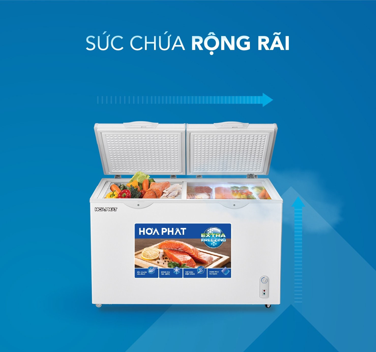 Tủ bảo quản Hòa Phát 295 lít HPF BD6295, 2 ngăn, 2 cánh